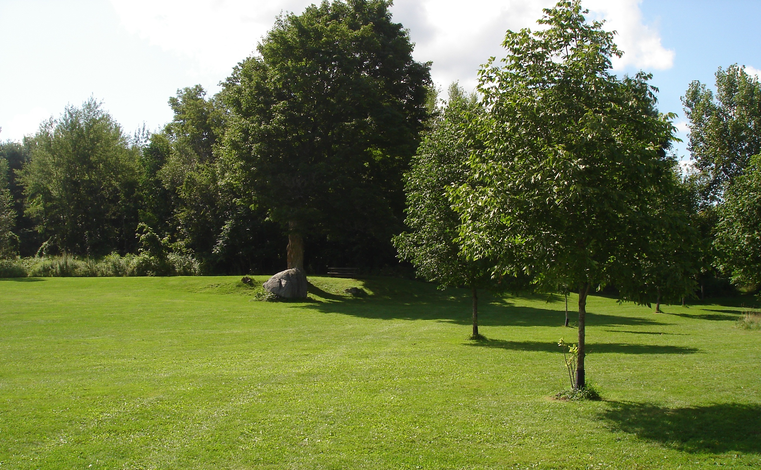 Prairie bordée d'érables et avec de l'herbe rase.